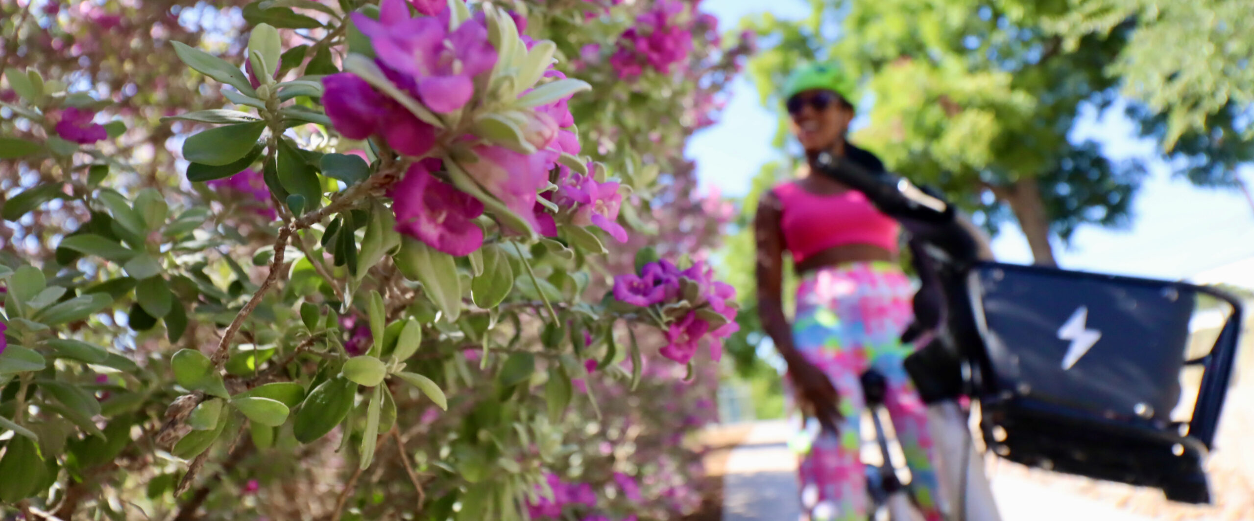 black woman riding a bike share bicycle admiring flowers